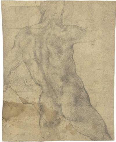 Nu masculino de Michelangelo Buonarroti