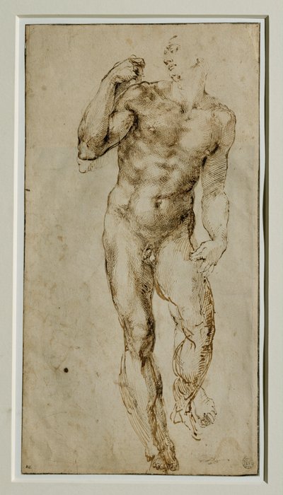 Nu masculino, vista frontal, cerca de 1502-1506 ... de Michelangelo Buonarroti