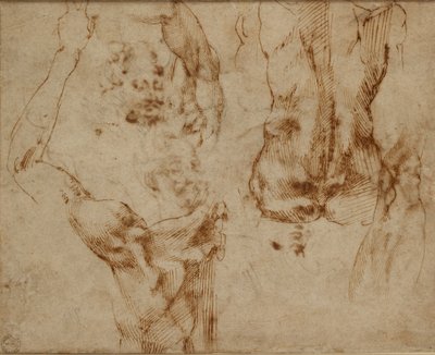 Estudos de nus, c1490-1560 de Michelangelo Buonarroti