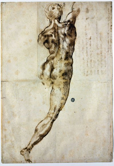 Nu por trás, c. 1504 de Michelangelo Buonarroti