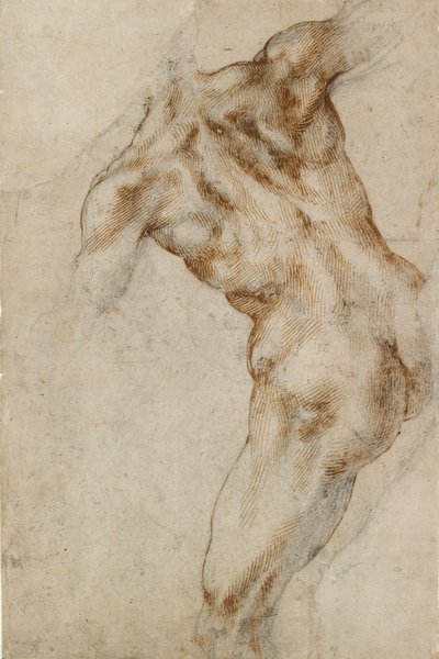 Torso masculino nu, início do século XVI de Michelangelo Buonarroti