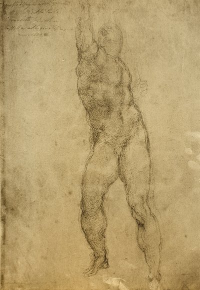 Estudo nu, desenhando por Michelangelo. Gallerie dellAccademia, Veneza de Michelangelo Buonarroti