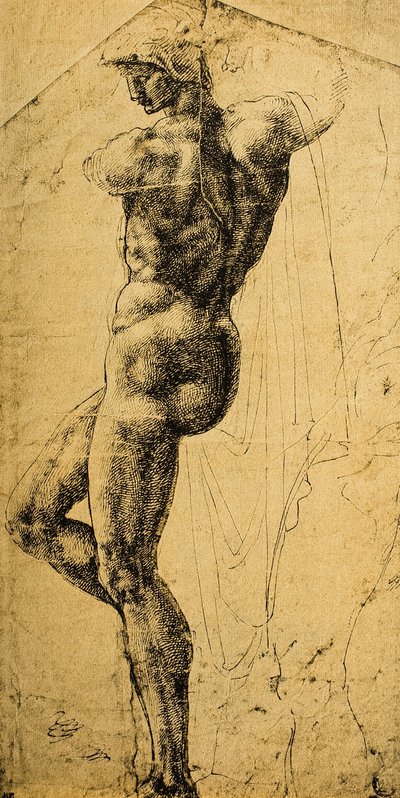 Estudo nu; desenho de Michelangelo. Museu do Louvre, Paris de Michelangelo Buonarroti