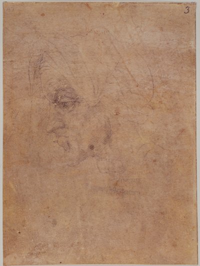 Perfil de uma mulher idosa de Michelangelo Buonarroti