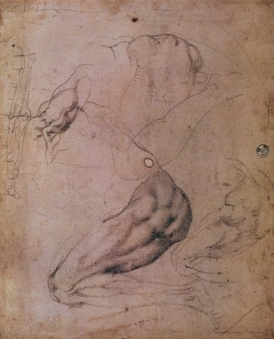 Tecto da Capela Sistina (1508-12): esboços da figura de Eva da cena de O Pecado Original (carvão sobre papel) de Michelangelo Buonarroti