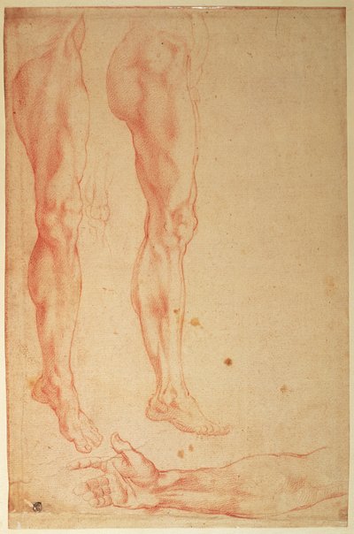 Estudos de Pernas e Braços (giz vermelho sobre papel) de Michelangelo Buonarroti