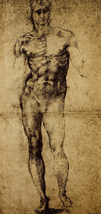 Estudo para um nu masculino, Michelangelo Buonarroti (1475-1564), desenho, Paris, Museu do Louvre de Michelangelo Buonarroti