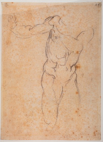 Estudo para o Adão da "Expulsão de Pardiso" na Capela Sistina de Michelangelo Buonarroti