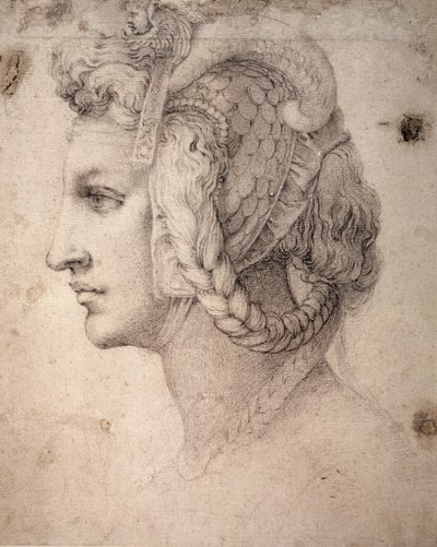 Estudo da Cabeça de Michelangelo Buonarroti