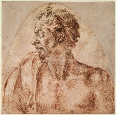 Estudo de Cabeça e Ombros (tinta sobre papel) de Michelangelo Buonarroti