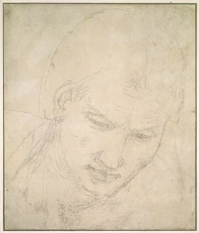 Estudo de uma cabeça (giz preto sobre papel branco) de Michelangelo Buonarroti