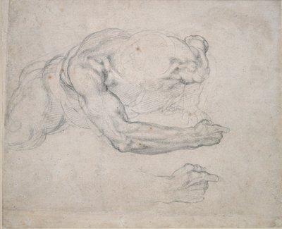 Estudo de um homem subindo do chão, século 16 de Michelangelo Buonarroti