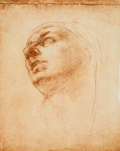 Estudo de um rosto, desenho de Michelangelo. Casa Buonarroti, Florença de Michelangelo Buonarroti