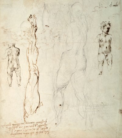 Estudo do Menino Jesus e Desenho Anatômico com Notas (giz preto e tinta marrom sobre papel) (verso) de Michelangelo Buonarroti