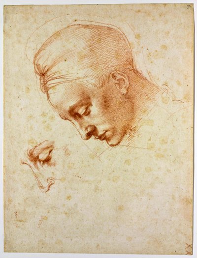 Estudo para a cabeça de Leda, ca 1530 de Michelangelo Buonarroti