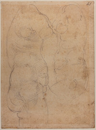 Dois estudos de um Vénus antigo de Michelangelo Buonarroti