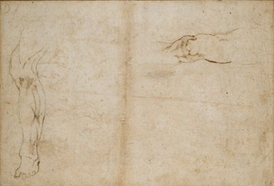Verso: Estudos da perna de um homem, c1490-1560 de Michelangelo Buonarroti