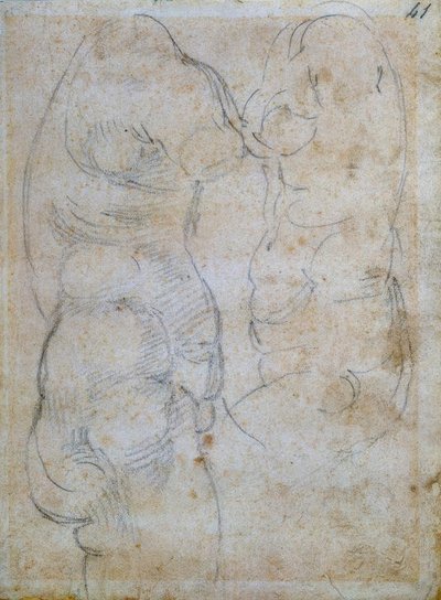 Dois estudos sobre o tronco de uma mulher antiga de Michelangelo Buonarroti