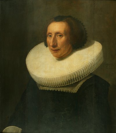Retrato de uma senhora de 58 anos de Michiel Jansz. van Miereveld