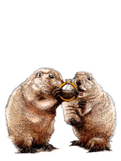 Engaged Prairie Dogs on White, 2020 de Mike Davis