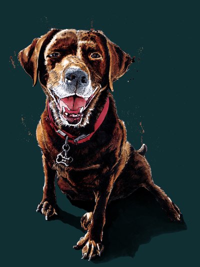 Nessa The ChocLab em Deep Cyan, 2020 de Mike Davis