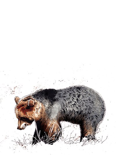 O Urso sobre Branco, 2020 de Mike Davis
