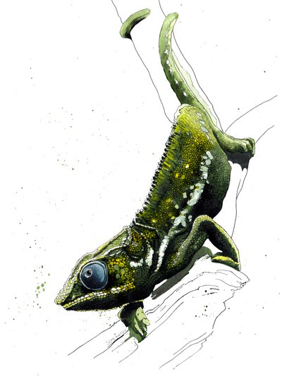 O Camaleão em Branco, 2019 de Mike Davis