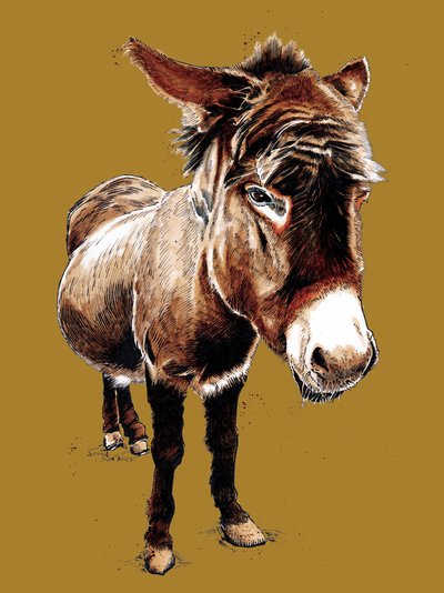 O Burrinho em Amarelo Dourado, 2020 de Mike Davis