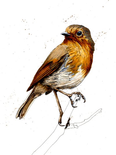 O Robin em Branco, 2019 de Mike Davis