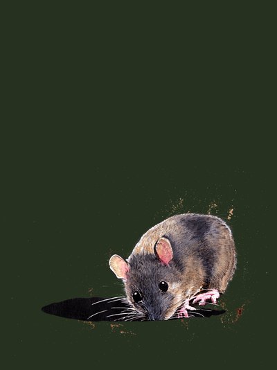 O Woodmouse em Forest Green, 2020 de Mike Davis