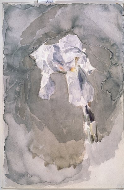 Íris branca de Mikhail Aleksandrovich Vrubel