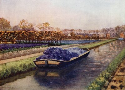 Um Barco cheio de Fragrâncias (cor litho) de Mima Nixon