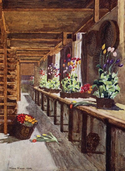 A Bulb House (cor litho) de Mima Nixon