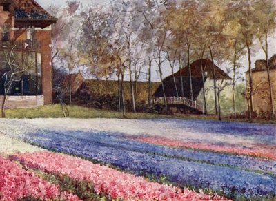 Um Jardim Holandês na Primavera (cor litho) de Mima Nixon