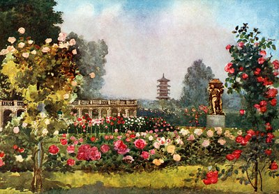 O laranjal, Laeken de Mima Nixon