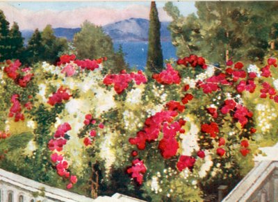 O Pergola Rose, o Achilleion, Corfu de Mima Nixon