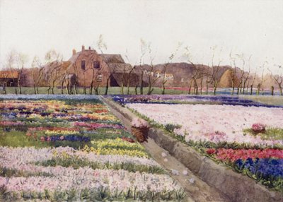 "Quando a Primavera desbloqueia as flores para pintar a terra do riso" (cor litho) de Mima Nixon