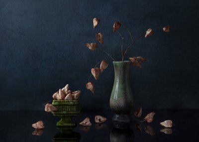  de Ming Chen