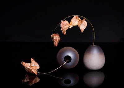  de Ming Chen