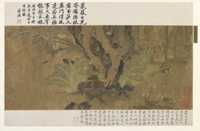 Bambu, sapo e insetos de Ming Dynasty Chinese School