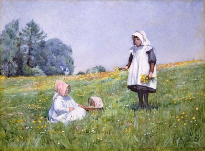 Botões de ouro e margaridas (wc no papel) de Minnie Jane Hardman