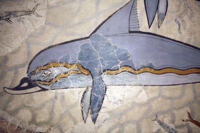 Arte minóica. O "Dolphin Fresco". O fresco decorou a parede ou o chão de um salão acima do megaron Queen. Fresco reconstruído a partir de fragmentos da obra original encontrada em Knossos (1600 - 1450 a.C.). Museu Arqueológico, Herakleion, Creta. de Minoan
