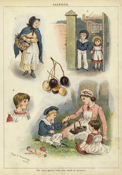 Cerejas (chromolitho) de Miss Eliza F. Manning