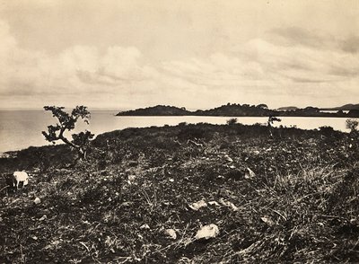 Construir um império na era fascista: O Lago Tana. Etiópia, 09/05/1936 (foto a p/b) de Modestino Baldinetti