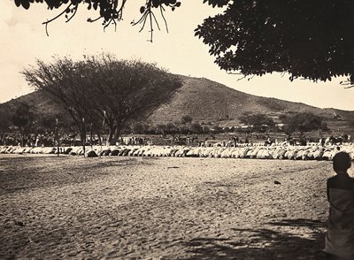 Construir um império na era fascista: Oração do Ramadão, 09/05/1936 (foto a p/b) de Modestino Baldinetti