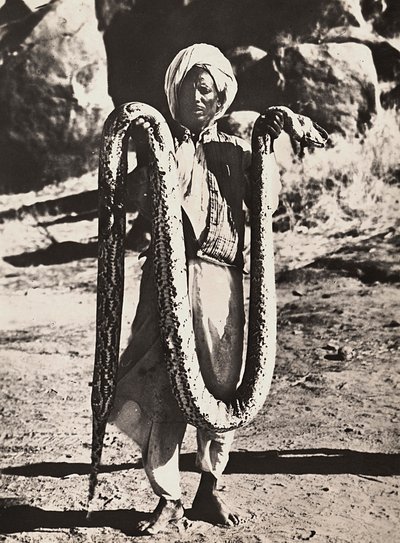 Construir um império na era fascista: indigeno com uma pitão, 09/05/1936 (foto a p/b) de Modestino Baldinetti