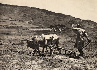 Construir um império na era fascista: aragem no altopiano, 09/05/1936 (foto a p/b) de Modestino Baldinetti