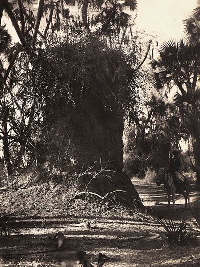 Construir um império na era fascista: colônia de cupins, 09/05/1936 (foto a p/b) de Modestino Baldinetti