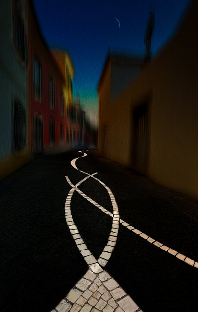 Caminho sinuoso ao luar de Molly Fu APA