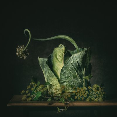 Natureza morta em tons de verde melancólico de Monique van Velzen
